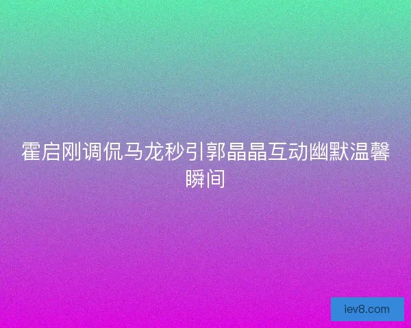 霍启刚调侃马龙秒引郭晶晶互动幽默温馨瞬间